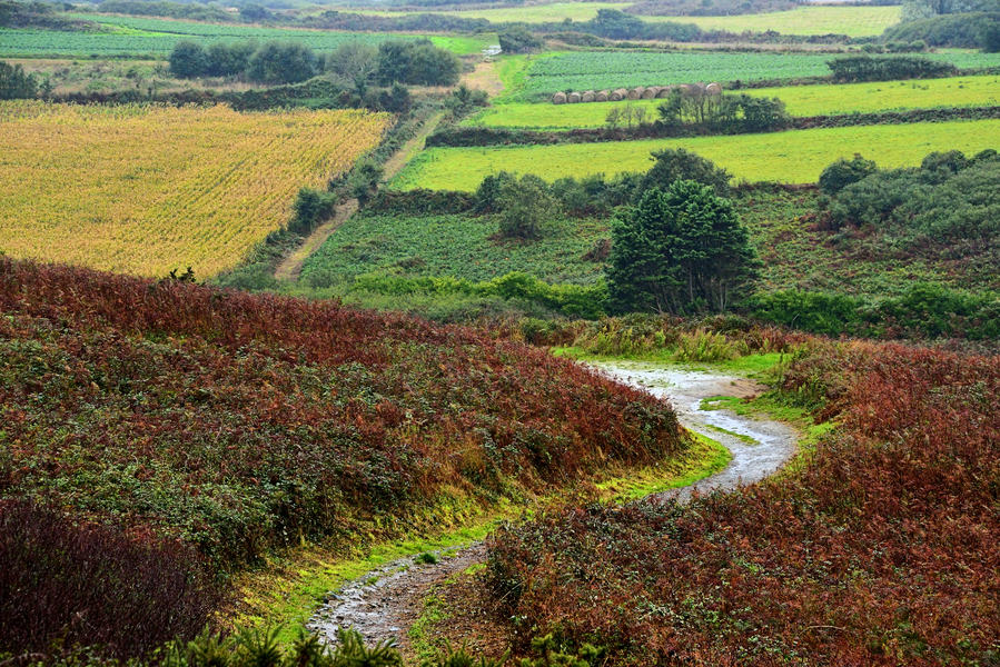 Brittany Countryside 1232